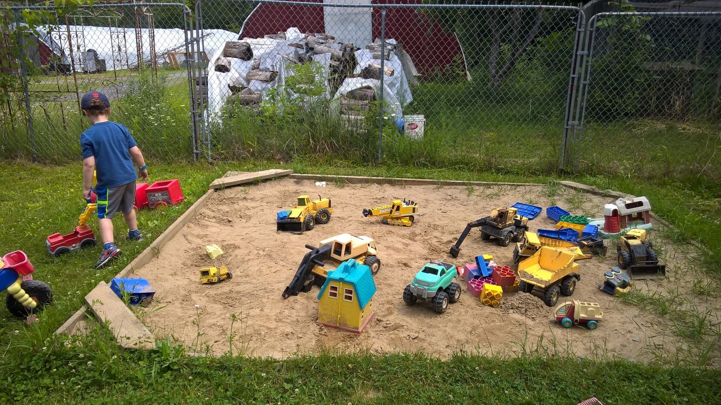 Saunders Country Critters & Andrew Asquith